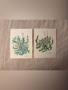 Lavender Sketches. My drawing, my lavender. Accent Home Art
